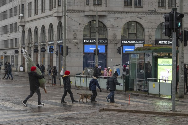 Finnish family with Christmas tree crossing a street, Helsinki, Finland