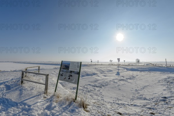 Snowy landscape with information board under bright blue sky in the Ochsenmoor nature reserve area, in sunlight, Dümmer nature park Park, Lower Saxony, Germany