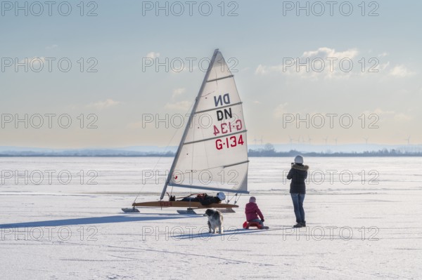 Family with dog watching sailboat on frozen Dümmer See, Lembruch, Diepholz district, Lower Saxony, Germany
