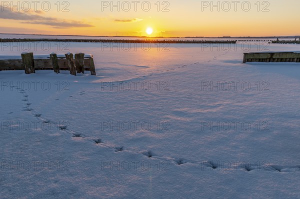Snow-covered landscape at sunset with footprints in snow and calm atmosphere, snow-covered area of frozen Dümmer Lake with traces in the light of sunset in winter, Lembruch, Diepholz district, Lower Saxony, Germany