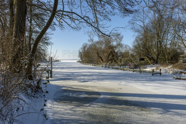 Outflow of the river Lohne from the snowy and frozen Dümmer Lake with trees in the background, clear sky, snowy river path surrounded by trees under a clear sky in winter, Lembruch, Diepholz district, Lower Saxony, Germany