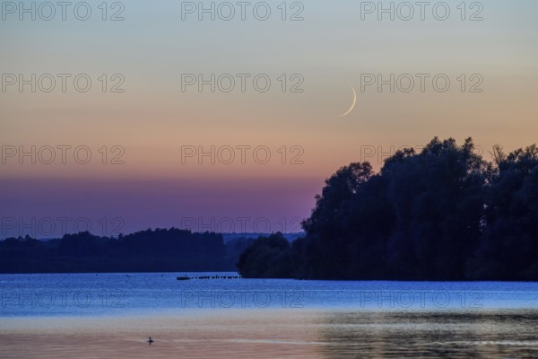 Delicate crescent moon over quiet Dümmer Lake late in the evening at sunset, Lembruch, Dümmer See, Lower Saxony, Germany