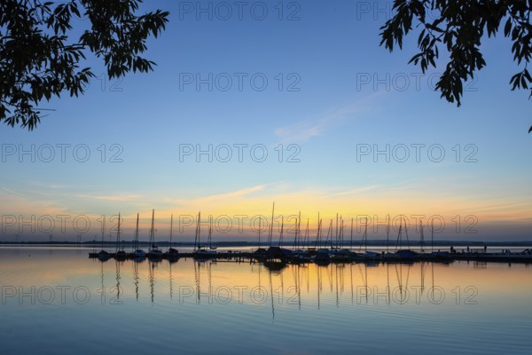 Boats on quiet Dümmer See at sunrise, surrounded by still trees, Lembruch, Dümmer See, Lower Saxony, Germany