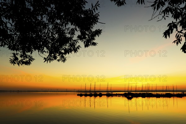 Idyllic view of a sailboat harbor on Lake Dümmer at sunset with boats and trees in the foreground, Lembruch, Dümmer See, Lower Saxony, Germany