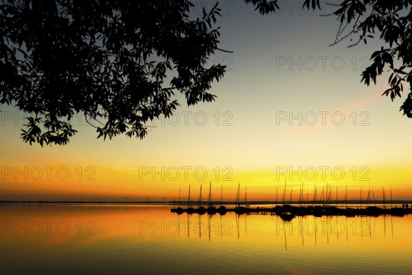 Sunset over Dümmer See with calm boats and bright colors, trees in the foreground, Lembruch, Dümmer See, Lower Saxony, Germany
