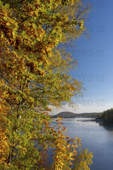 Autumn forest at Innerstestausee in the Harz Mountains, Innerstestausee, Goslar, Lower Saxony, Germany