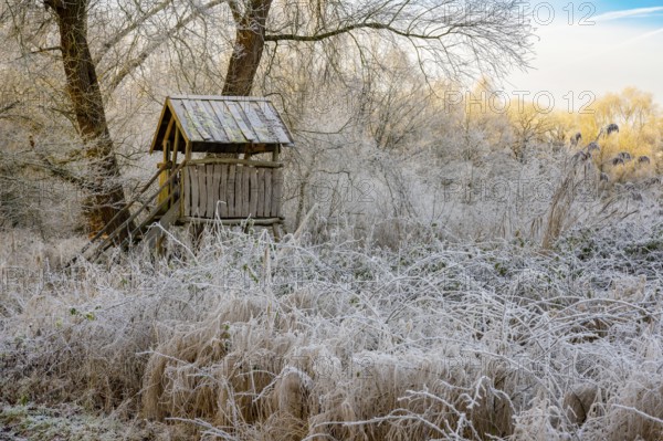 Winter hoarfrost at Ahlhorn fish ponds, Hochsitz, Ahlhorn fish ponds, Ahlhorn, Lower Saxony, Germany