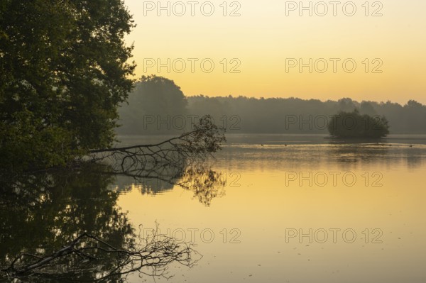 Daybreak at Ahlhorn Fish Ponds, Ahlhorn Fish Ponds, Ahlhorn, Lower Saxony, Germany