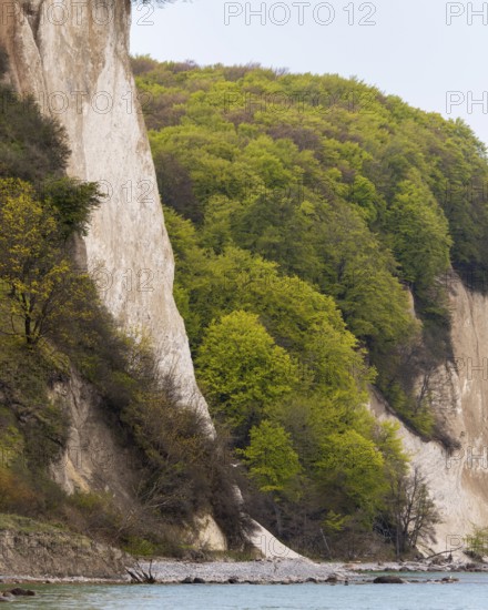 View of chalk cliffs in Jasmund National Park on Rügen, Sassnitz, Rügen, Mecklenburg-Western Pomerania, Germany