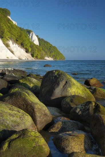 View of chalk cliffs in Jasmund National Park on Rügen, Königsstuhl, Sassnitz, Rügen, Mecklenburg-Western Pomerania, Germany