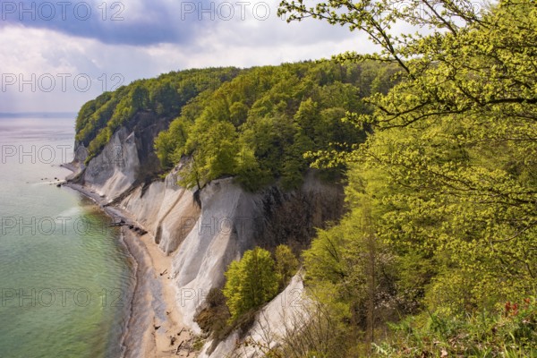 Ernst-Moritz-Arndt view on the chalk coast on Rügen, Rügen, Sassnitz, Mecklenburg-Western Pomerania, Germany