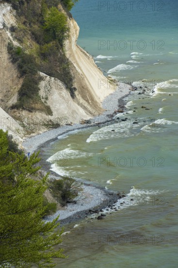 View of chalk cliffs in Jasmund National Park on Rügen, Sassnitz, Rügen, Mecklenburg-Western Pomerania, Germany