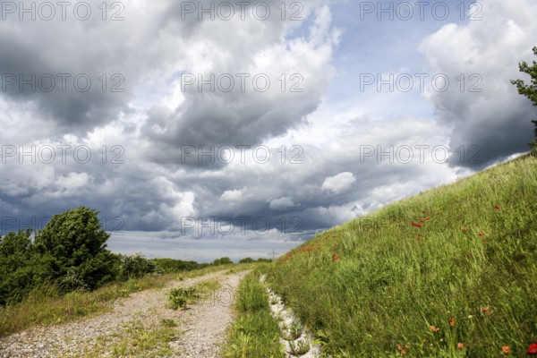 A trail through a vast landscape under dramatically cloudy sky on an old garbage dump, Münsterland, North Rhine-Westphalia, Germany