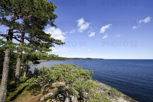 Clear sky over the coast with granite archipelago with green forest and blue water at Lake Vänern, Värmlandsnäs peninsula, Värmlands län, Sweden