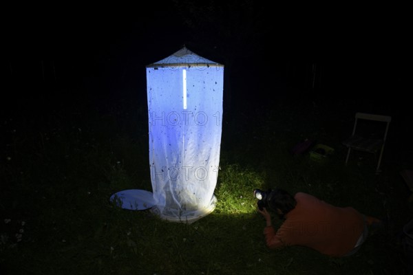 Person, biologist, butterfly researcher, biologist, butterfly researcher photographs an insect-covered light tent light capture at night in a meadow, Diepholz district, Lower Saxony, Germany