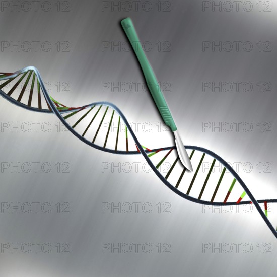 Symbol, DNA research, science, medicine, scalpel, CRISPR scissors, future, engineer, technician, cyber robot, young generation, innovation, mechanical engineering, outlook, industry, economy, SMEs, stock market prices, rising stock market, money development, stock trading, global economy, money, finance, performance, securities, speculation, economic development, inflation, money transactions, international stock exchanges, economic policy, financial policy