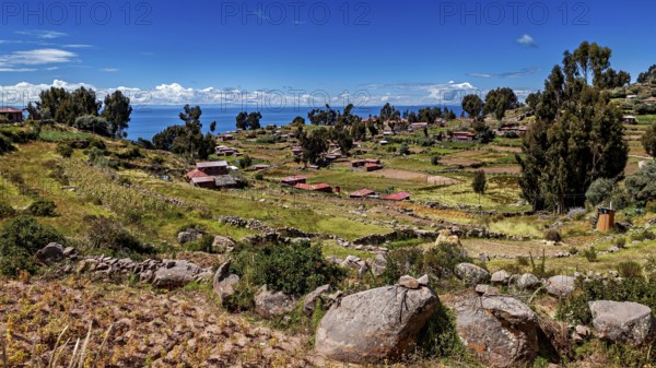 Hilly landscape with fields and huts near a blue lake, The countryside and farmhouses on Taquile Island in Lake Titicaca in Peru