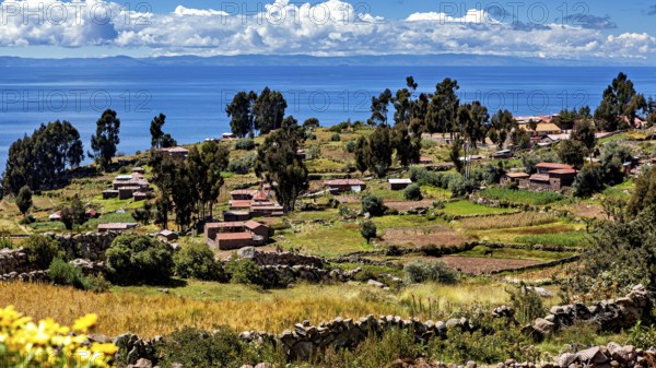 Small huts and fields on terraces overlooking a large lake, countryside and farmhouses on Taquile Island in Lake Titicaca in Peru