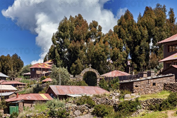 Rustic stone and wood village farm houses in front of imposing trees under cloudy skies, the countryside and farmhouses on the island of Taquile in Lake Titicaca in Peru