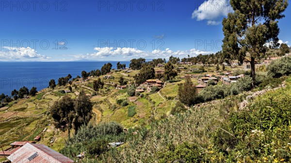 Village with huts on a hill surrounded by green fields and a blue lake under clear skies, the countryside and farmhouses on Taquile Island in Lake Titicaca in Peru