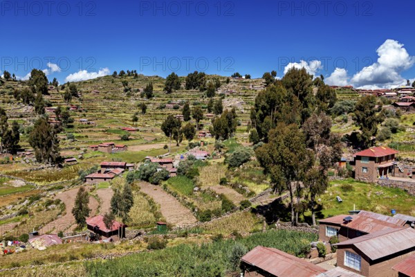 Hilly landscape with terraced fields and scattered farm houses under a blue sky, The countryside and farmhouses on Taquile Island in Lake Titicaca in Peru