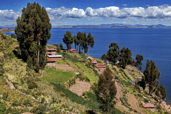 Cabins on terraces with trees and views of blue lake under clear skies, countryside and farmhouses on Taquile Island in Lake Titicaca in Peru