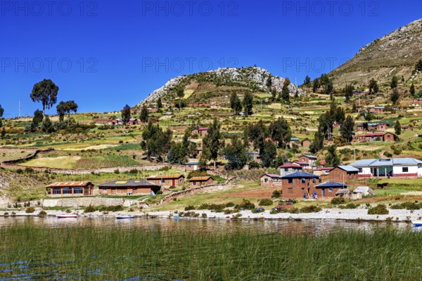 Idyllic village with lakeside farm houses and fields under blue skies, the countryside and farmhouses on Taquile Island in Lake Titicaca in Peru