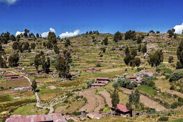 Terraced fields and farm houses stretch across green hills under blue skies, the countryside and farmhouses on Taquile Island in Lake Titicaca in Peru