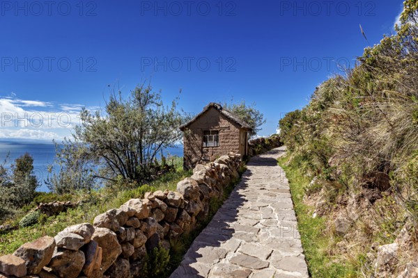 A paved path leads past a small cabin surrounded by lush vegetation under a clear blue sky, the countryside and farmhouses on Taquile Island in Lake Titicaca in Peru