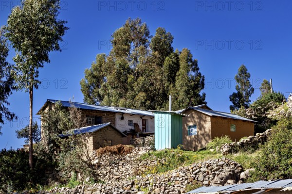 Small rural farm houses and tall trees on a rocky hill under a clear sky, the countryside and farmhouses on Taquile Island in Lake Titicaca in Peru