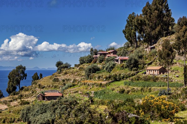 Several farm houses are perched on a green hill overlooking a blue sky and surrounded by vegetation, the countryside and farmhouses on the island of Taquile in Lake Titicaca in Peru