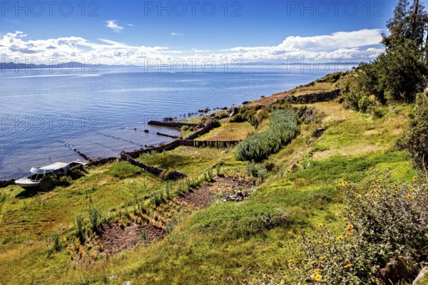 Coastal landscape with fields and vegetation on the shores of a large lake under blue sky, The countryside and farmhouses on Taquile Island in Lake Titicaca in Peru