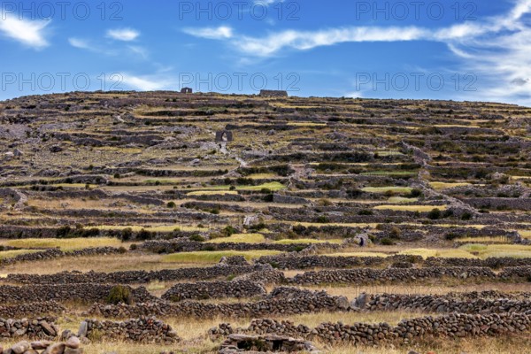 Terraced landscape on a hill under a dramatic sky with stone walls, The countryside and farmhouses on Taquile Island in Lake Titicaca in Peru