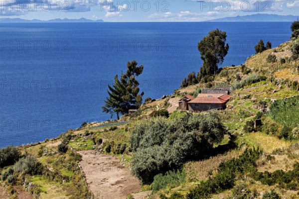 A cabin is situated on a terrace overlooking a blue lake surrounded by tall trees and vegetation, the countryside and farmhouses on the island of Taquile in Lake Titicaca in Peru