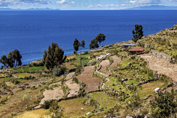 View of terraced fields on the shores of a deep blue lake with islands emerging in the background, the countryside and farmhouses on the island of Taquile in Lake Titicaca in Peru