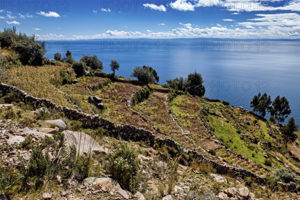 View of a large lake and planted fields that contribute to a quiet and peaceful landscape, The countryside and farmhouses on Taquile Island in Lake Titicaca in Peru