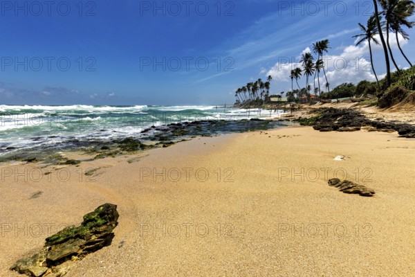A sunny beach with palm trees on the ocean, waves meet the sand, blue sky, Koggala beach with stilt fishermen in Sri Lanka