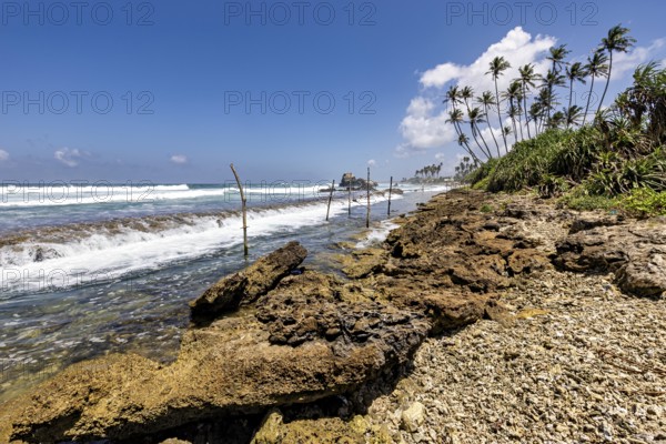 Rough beach with rocks, palm trees and waves in the midday sun, Koggala beach with stilt fishermen in Sri Lanka