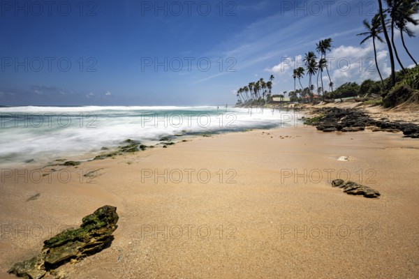A sunny beach with palm trees and blue skies, waves hitting the shore, Koggala beach with stilt fishermen in Sri Lanka