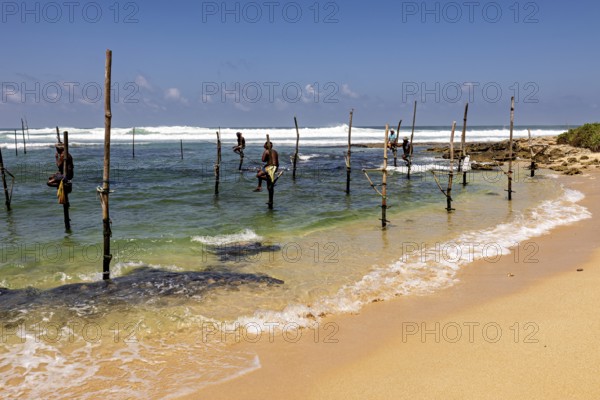 Fishermen sitting on stilts above sea in sunny skies, Koggala beach with stilt fishermen in Sri Lanka