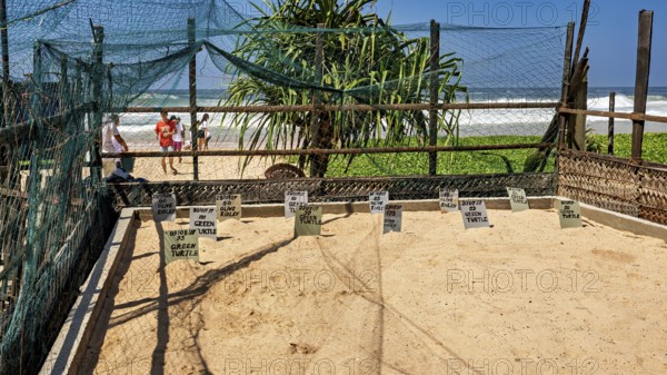 A sunny beach with signs and nets near the ocean, surrounded by palm trees and people, sea turtle lift station on the beach near Koggala in Sri Lanka