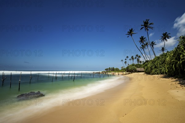Sunny beach with palm trees and calm sea under clear skies, Koggala beach with stilt fishermen in Sri Lanka