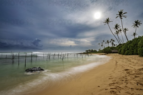 Beach landscape with wooden posts and palm trees at sunset, Koggala beach with stilt fishermen in Sri Lanka