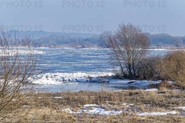 Ice skating on the Elbe and remnants of snow in the foothills of the Elbe on a clear winter day. Hohnstorf, Lüneburg District, Lower Saxony, Germany
