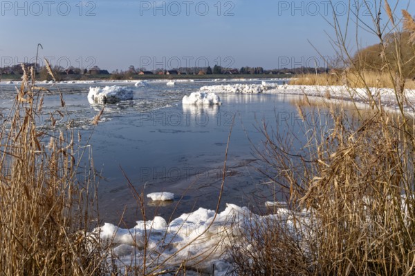 Ice flow on the Elbe in the area of the federal waterway near Geesthacht on a clear winter day. Small icebergs float downstream. Geesthacht, Schleswig-Holstein, Germany