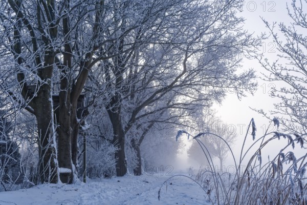 Hiking trail, Unterer Warwischer Wasserweg, in the snow on a hazy winter day in Hamburg's Vier- und Marschlanden. Kirchwerder, Hamburg, Germany