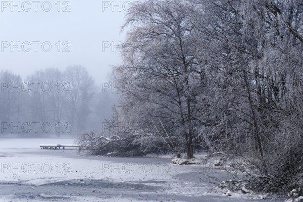 This winter day at the frozen Sandbrack Lake in Hamburg's Vier- und Marschlanden. Kirchwerder, Hamburg, Germany