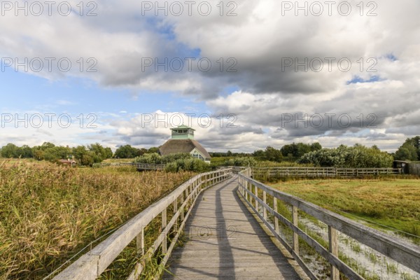 Naturum Hornborgasjön modern thatched building with glass front and thatched roof, which stands in Lake Hornborgasjön and can be reached via footbridges, surrounded by plants under a dramatic sky, Broddetorp, Västra Götalands län, Sweden