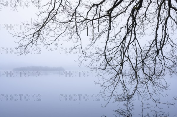 Ahlhorn fish ponds in fog, Ahlhorn, Lower Saxony, Germany