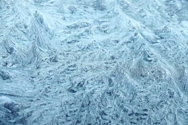 Beautiful ice flowers on a window, winter, Germany